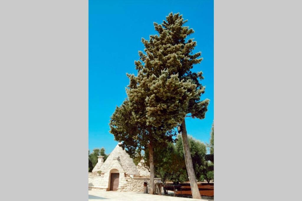 Trulli Monteforte Villa Castelli Exterior photo